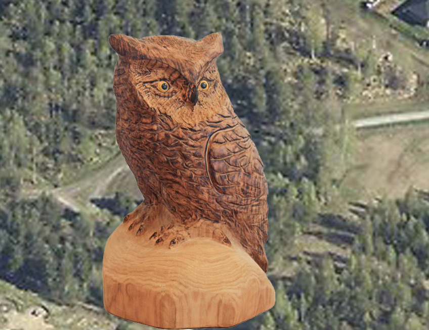 Den kloka ugglan håller koll över området.