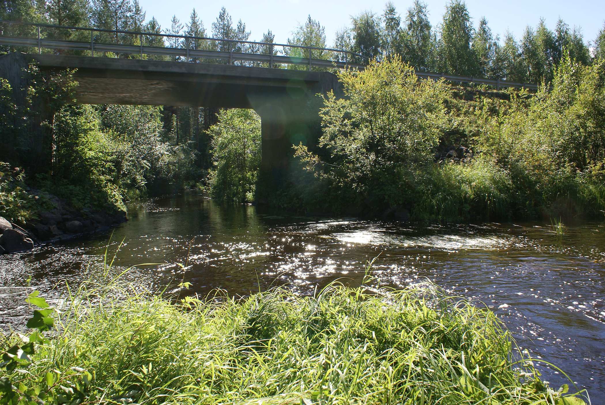 En grönskande sommardag vid Kvarnån i Niemisel.